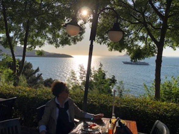 Eski Heybeliada Mimarisi ve Köşkleri resim: 14