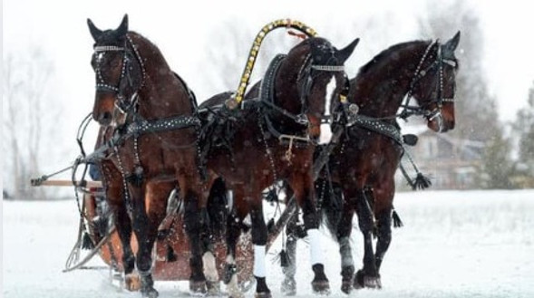 Bir Zamanlar Moskova resim: 0