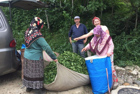 Çayeli’nden Öteye! resim: 6