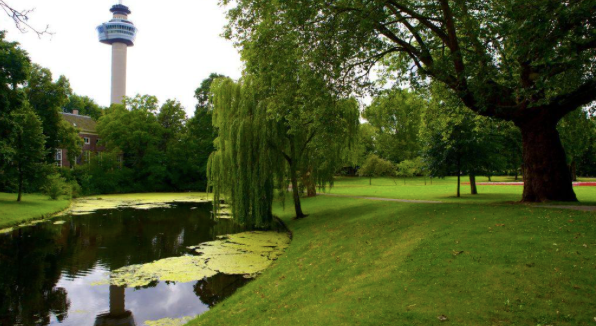 Park, yürüyen ceket ve kule resim: 0