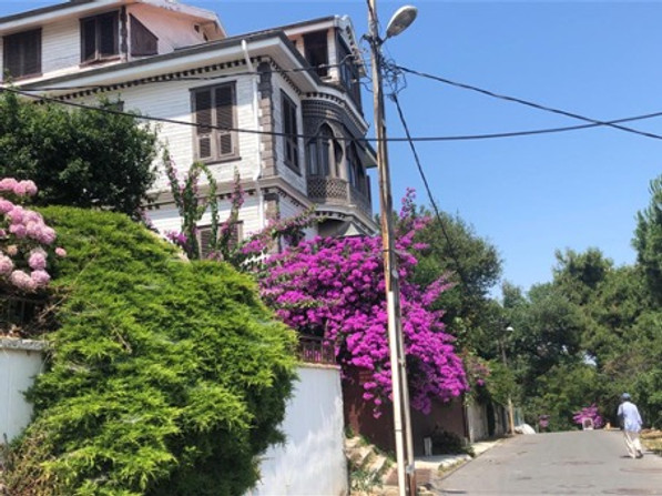 Eski Heybeliada Mimarisi ve Köşkleri resim: 0