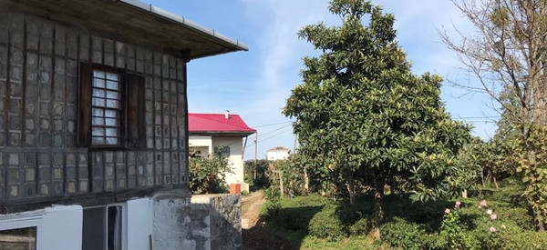 Geçtiğimiz Hafta Neler Oldu? / 18-24 Aralık resim: 1