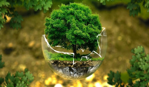 Türkiye yeşil ekonomiye geçebilir mi? İşte yeşil ekonomiye geçen ülkeler resim: 0