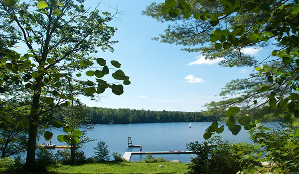 'Yıldızlı geceler ve yeşillikler diyarı Vermont günlerimden' resim: 5