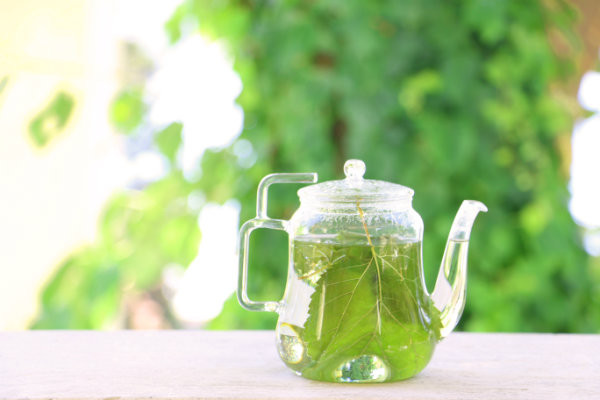 Kadın Girişimci Dut İle Önce Türkiye'yi Sonra Avrupa'yı Hedefliyor resim: 2