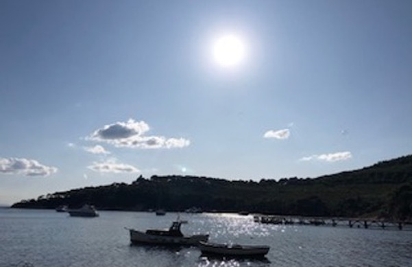 Eski Heybeliada Mimarisi ve Köşkleri resim: 17