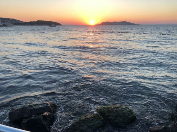 Eski Heybeliada Mimarisi ve Köşkleri resim: 15