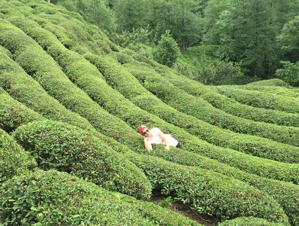 Çayeli’nden Öteye! resim: 4