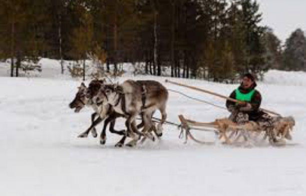 Mörsken İle Hassen resim: 2