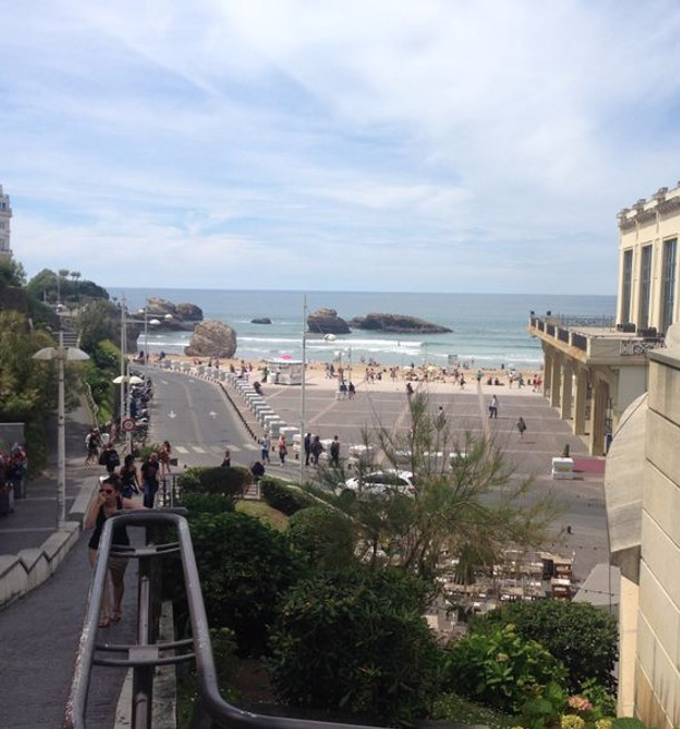 Şimşir Ormanı, Çat Deresi ve Zilkale resim: 1