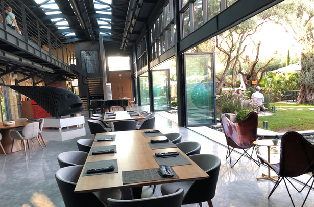 Yaratılmış Güzel Bir Yaşam Alanı: Zai resim: 6