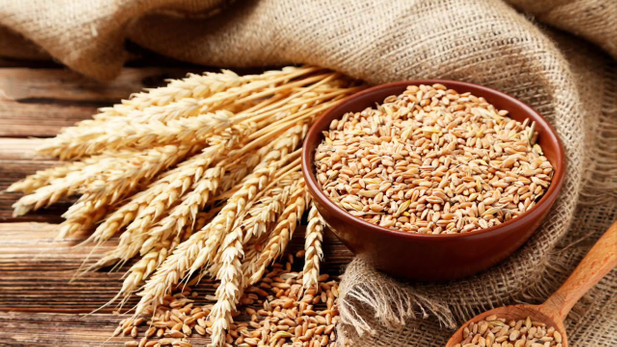 Buğday ve Arpada Yeni Fiyatlar Belli Oldu: Ödemeler 30 Gün İçinde Yapılacak resim: 0