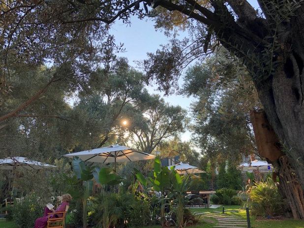 Yaratılmış Güzel Bir Yaşam Alanı: Zai resim: 4