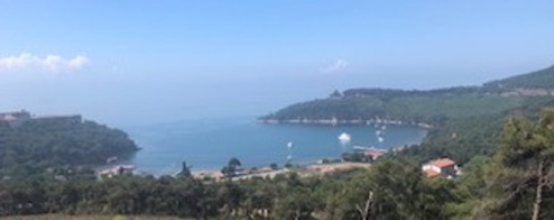 Eski Heybeliada Mimarisi ve Köşkleri resim: 21