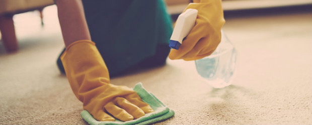 Taşerona Kadro Düzenlemesi Hakkında Merak Edilen Soruların Cevapları resim: 0