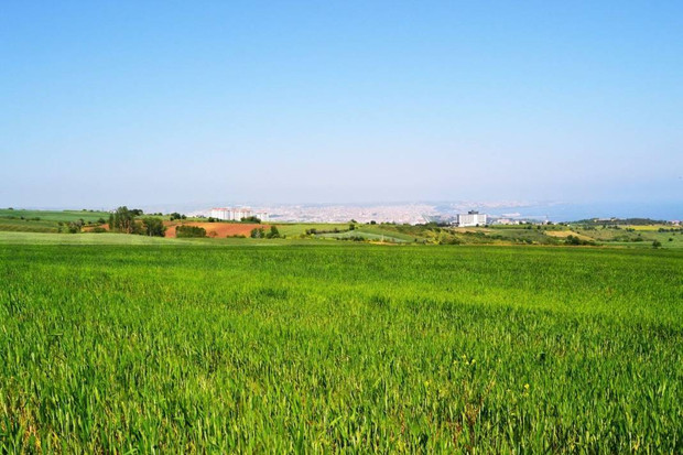 Tarlası Olanlar Dikkat: 2 Yıl Boş Bırakanın Arazisini Bakanlık Kiraya Verecek! İşte Detaylar... resim: 0