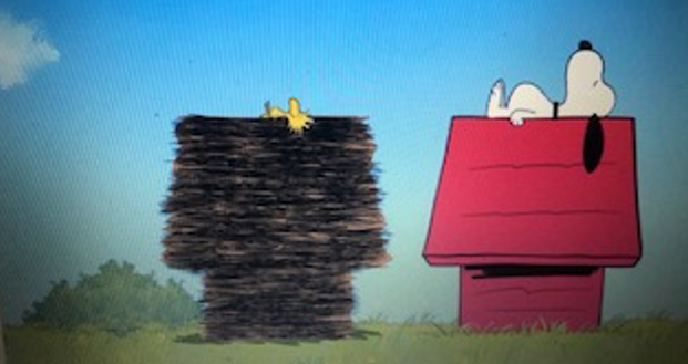 Charlie Brown ve Snoopy resim: 2
