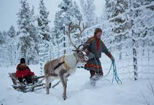 Mörsken İle Hassen resim: 3