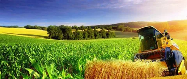 Çiftçiye ve Kırsal Kalkınmaya 2 Milyar TL Geri Ödemesiz Hibe Desteği Başladı! resim: 0