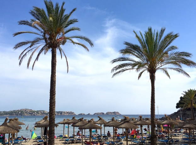 Paella, İnci ve Chopin resim: 7