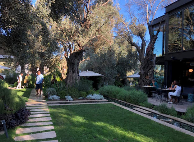 Yaratılmış Güzel Bir Yaşam Alanı: Zai resim: 1