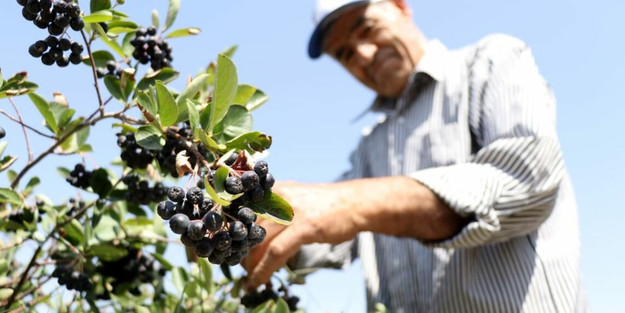 Eşinin Sağlığı İçin Üretime Başladı, Şimdi İş Sahibi Oldu resim: 0