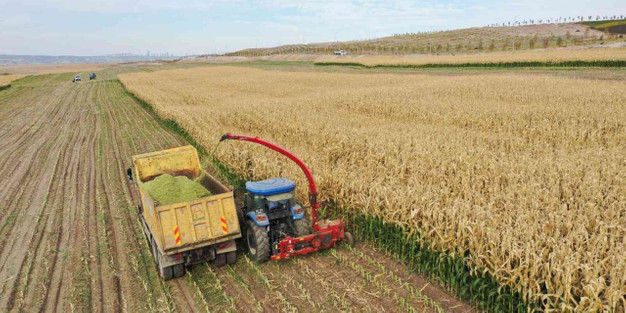 Çiftçiye ve Kırsal Kalkınmaya 2 Milyar TL Geri Ödemesiz Hibe Desteği Başladı! resim: 1