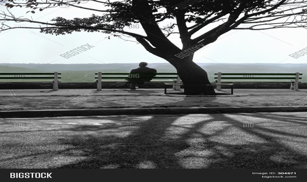 Dostum yalnızlık! resim: 1