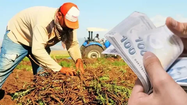 2025 Aile Yılı'nda Vatandaşlara Müjdeler Yağmuru: Aileler İçin Kapsamlı Destekler Başladı resim: 1