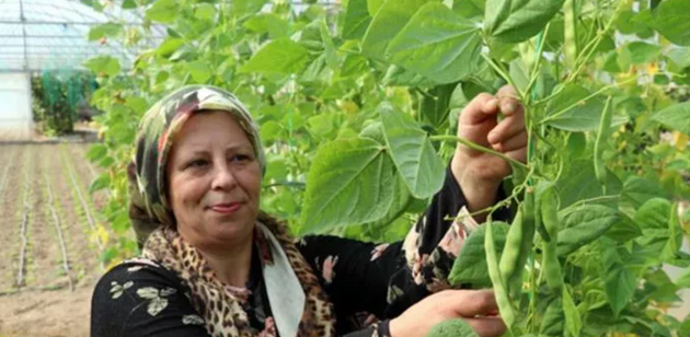 Kendi İşinin Patronu Oldu! resim: 0