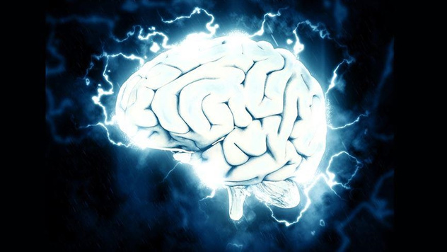 Beyindeki 'iç pusula' nasıl çalışıyor? Bilim insanları araştırdı resim: 0