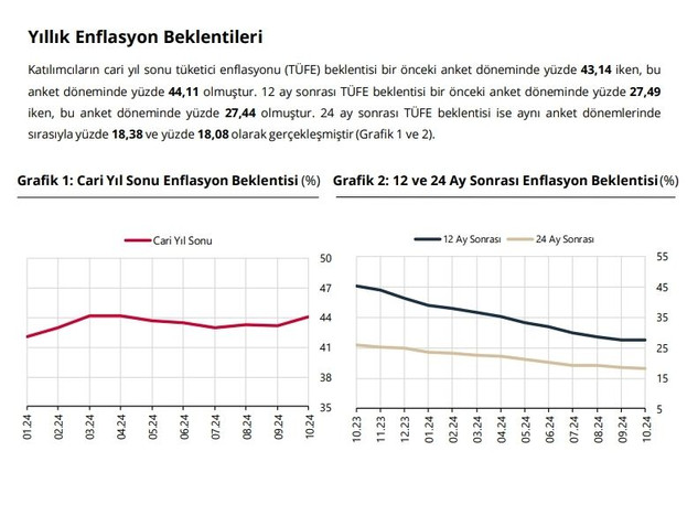 Ekim Ayı Enflasyon Verileri Ne Zaman Açıklanacak? Milyonlarca Göz TÜİK'te! resim: 0