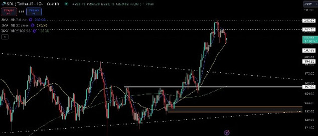 İşlem Hacmi Son Üç Yılın Zirvesinde! Kripto Para Piyasasının Değeri 3,4 Trilyon Dolara Yaklaştı resim: 2
