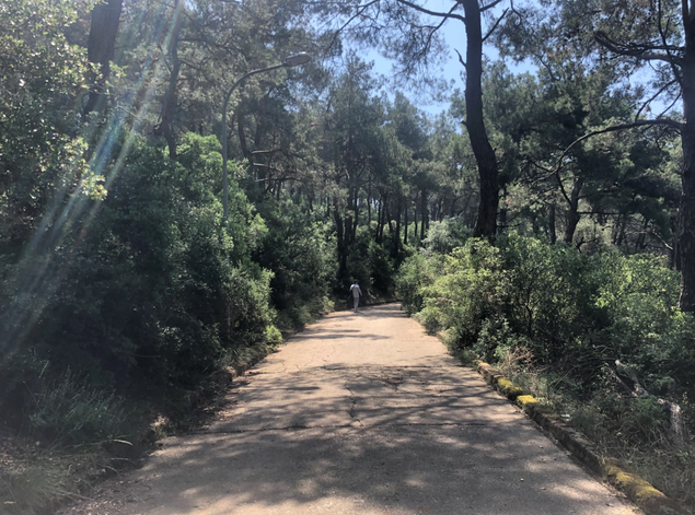 Adalıların Umutla Beklediği resim: 1