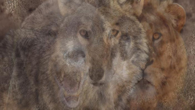 Heyecan Verici Kişilik Testi: İlk Gördüğünüz Şey Liderlik ve Hafıza Yapınız Ortaya Çıkarıyor! resim: 0