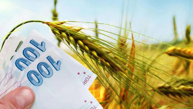 Yılın İlk Altı Ayında Çiftçilere 89,7 Milyar Liralık Tarımsal Destek Ödemesi resim: 0