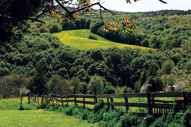 Polonezköy’den La Scala’ya resim: 0