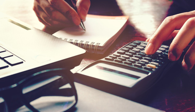 What are the individual loan types?