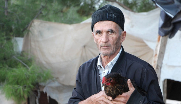 Son 1600 Lirası İle Tavuk Çiftliği Kurdu