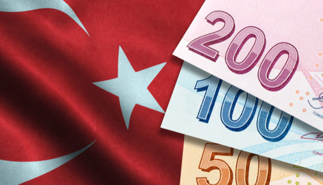 Sözleşmelerde Türk Lirası Kullanım Şartı Geldi