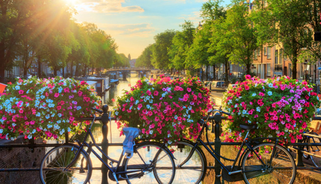 Amsterdam ve Brüksel'e Gidenler Neler Yapabilir?
