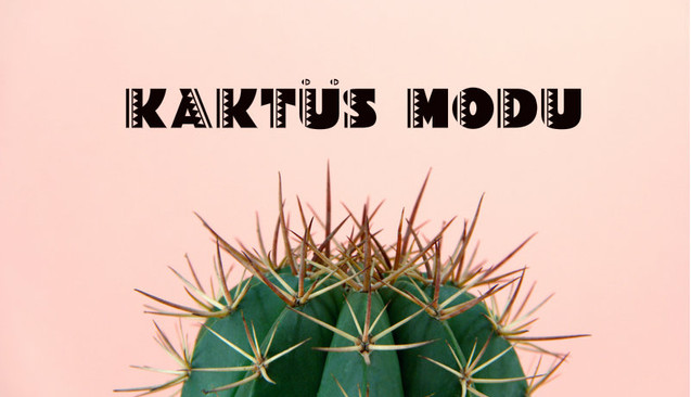 Kaktüs Modu Nedir?
