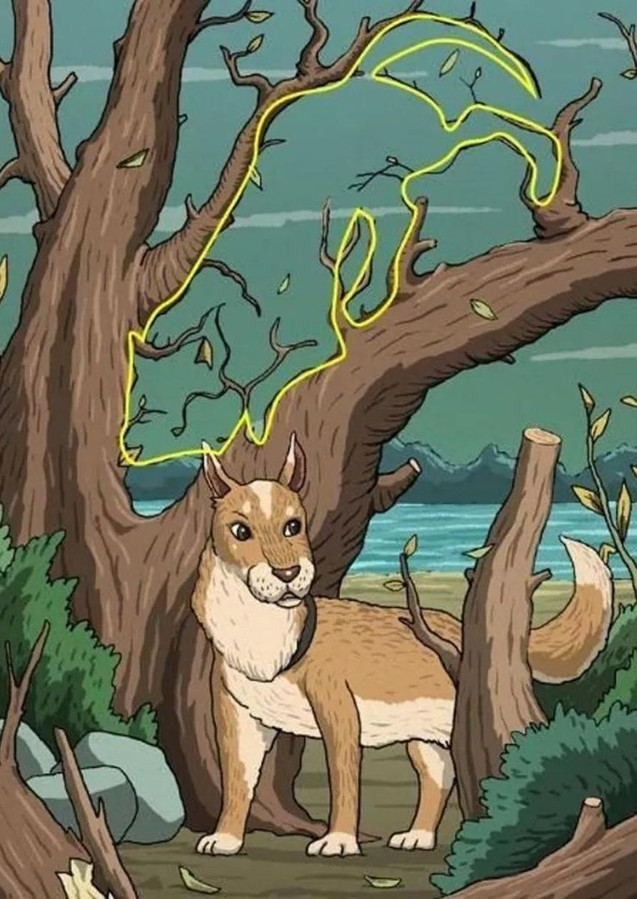 Eğer Gizli kediyi 15 saniyede bulabilirsen yüksek görsel zekaya sahipsin! resim: 2