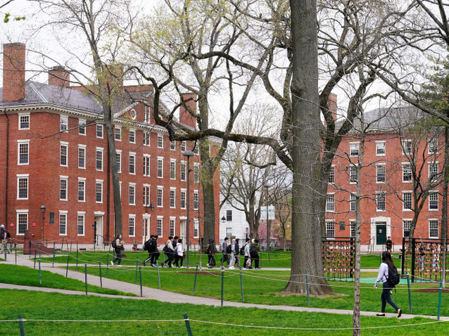 Harvard Üniversitesi'ne nasıl girilir? resim: 3