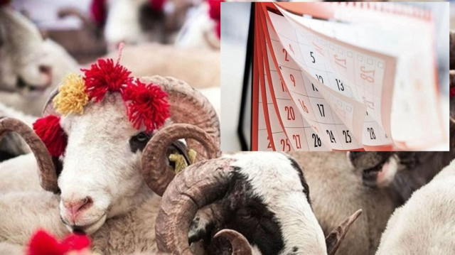 Kurban Bayramı Tatili Ne Zaman Başlıyor, Kaç Gün Kaldı? İşte 9 Günlük Resmi Takvim! resim: 1