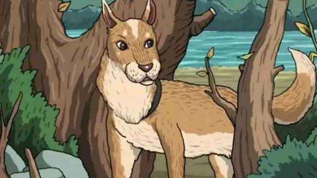 Eğer Gizli kediyi 15 saniyede bulabilirsen yüksek görsel zekaya sahipsin! resim: 0