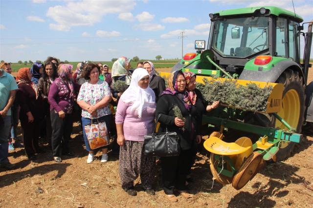 Trakya Bölgesinde Üretiliyor Litresi 100 Euro'dan Satılıyor resim: 0