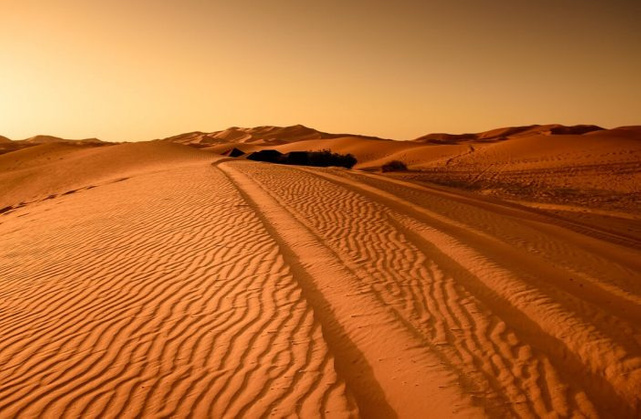 Sahra Çölü'nün gizemli olayı: 21.000 yılda bir toprakları yemyeşil oluyor! Peki nasıl? resim: 2