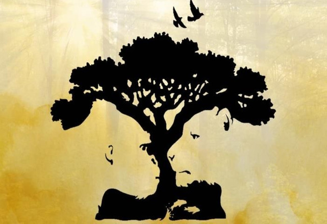 Mantıklı mısın? Tek soruda gerçeği öğren! İlk ağacı görenler için sürpriz bir sonuç...