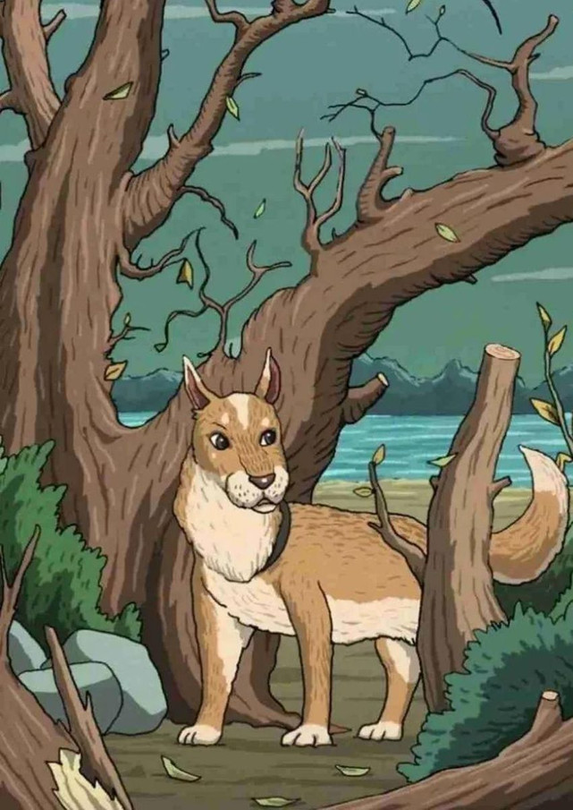 Eğer Gizli kediyi 15 saniyede bulabilirsen yüksek görsel zekaya sahipsin! resim: 1